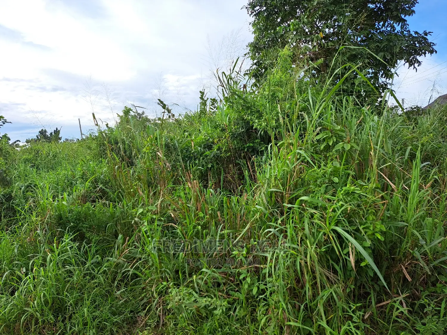 A Land at Antoa for Sale