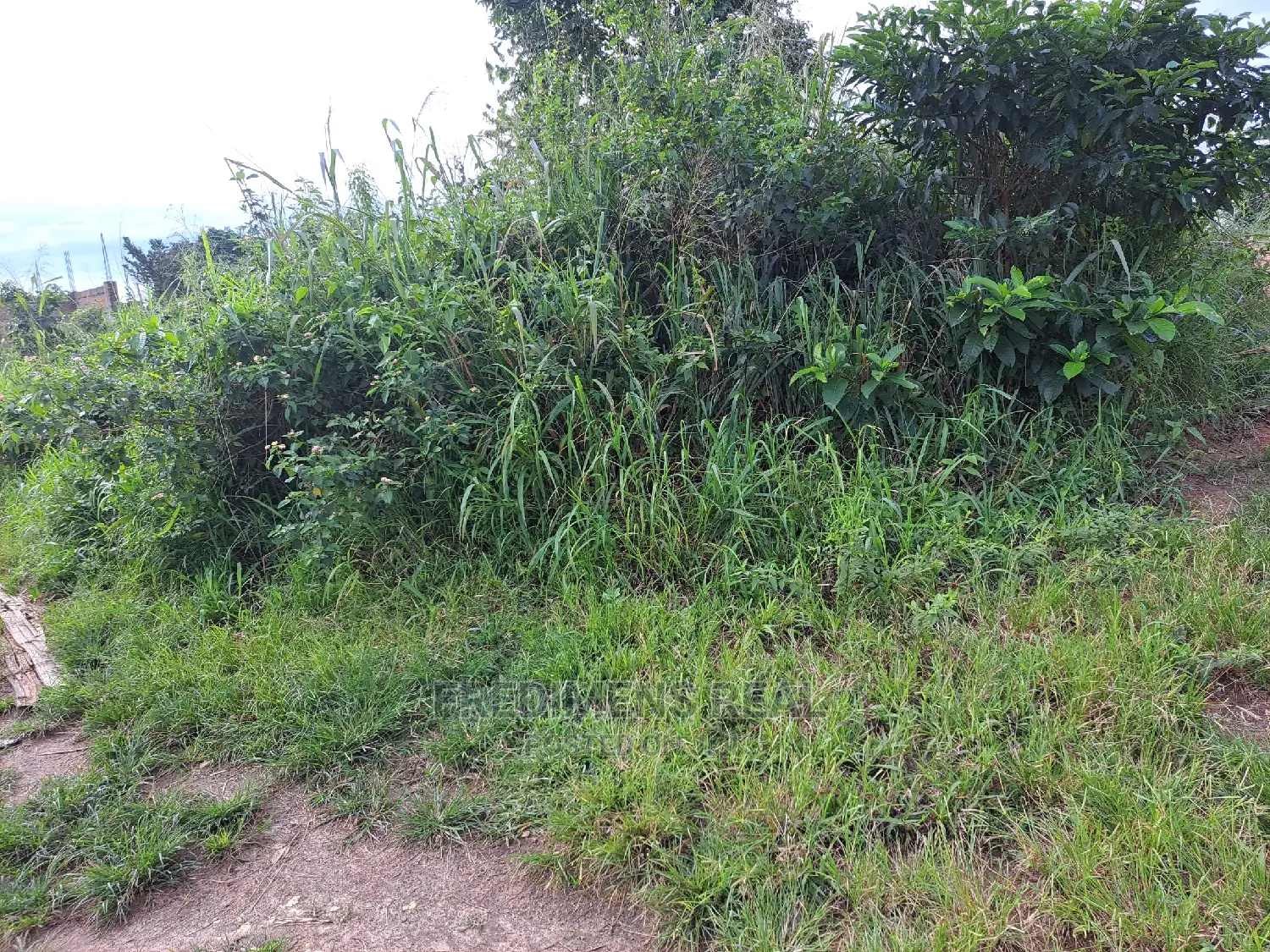 A Land at Antoa for Sale
