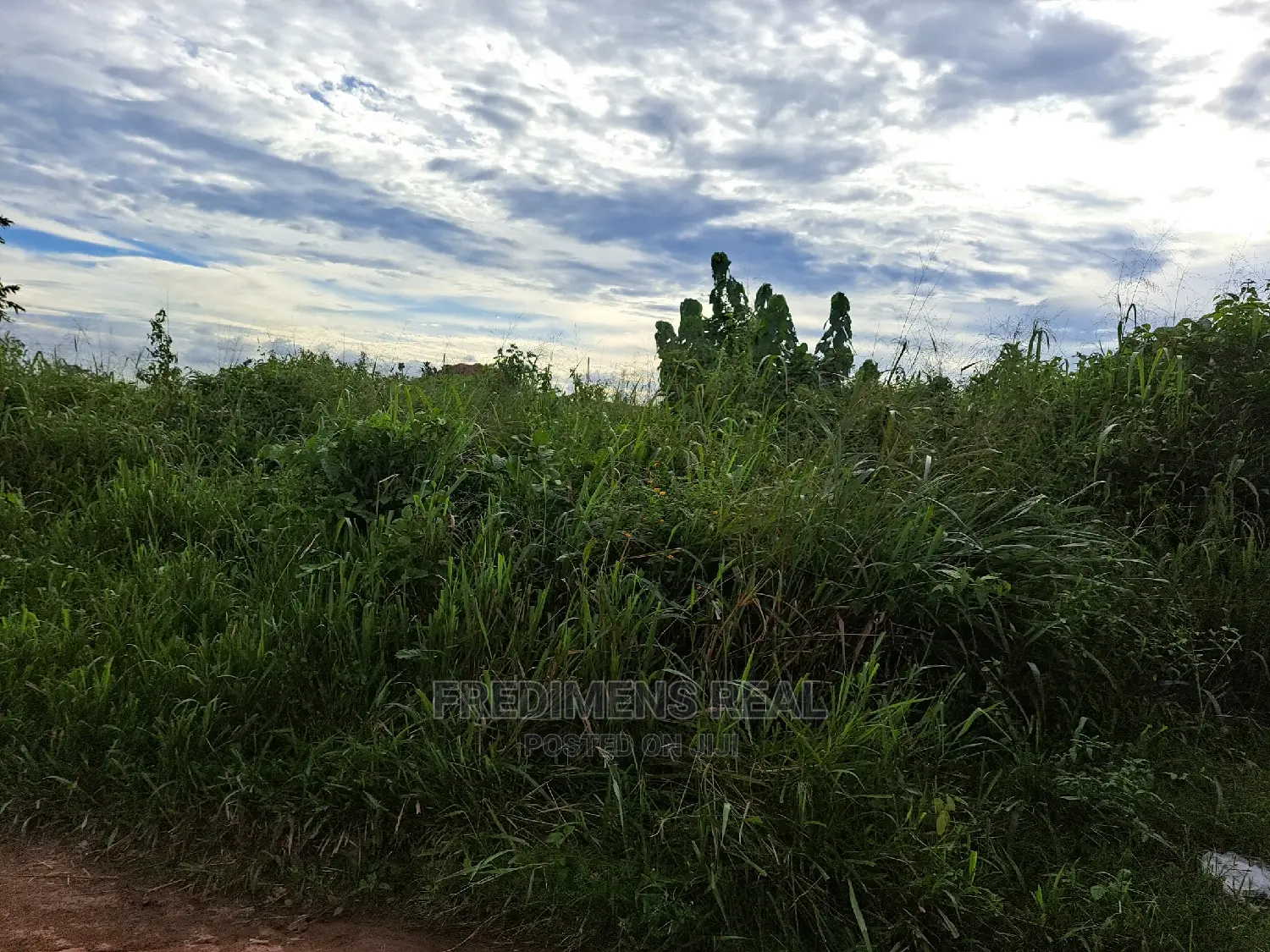 A Land at Antoa for Sale