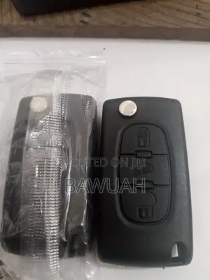 Bawuah Auto Keys and Diagnosis,Peugeot Remote Keys Case