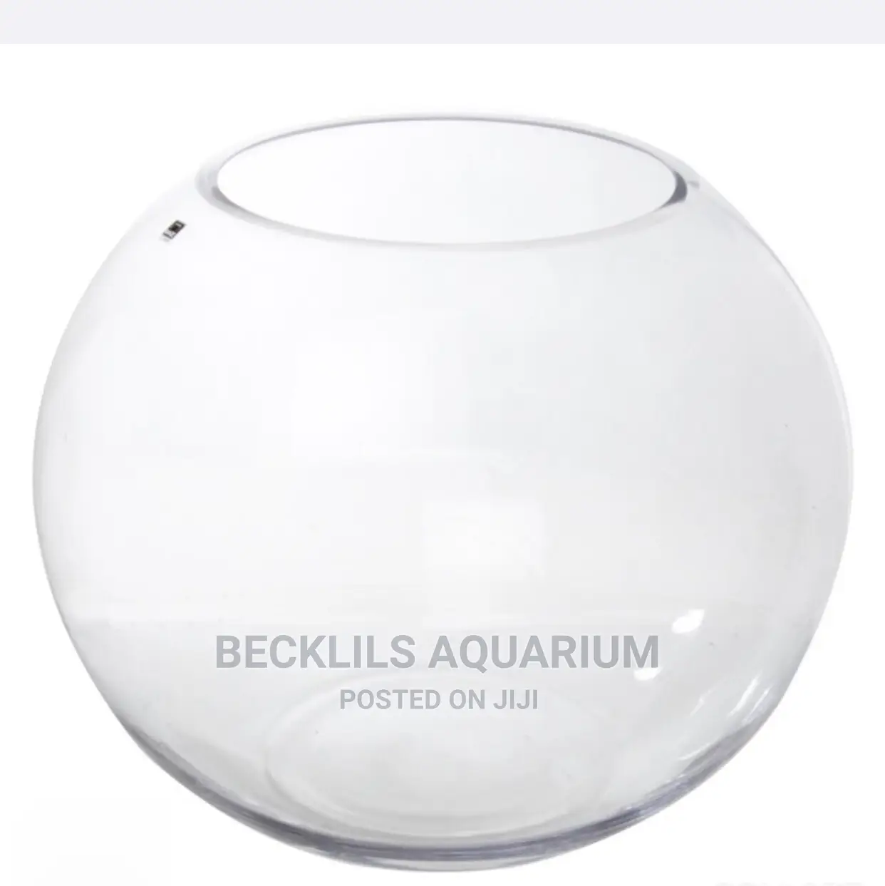 Bigger Glass Bowl