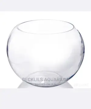 Bigger Glass Bowl
