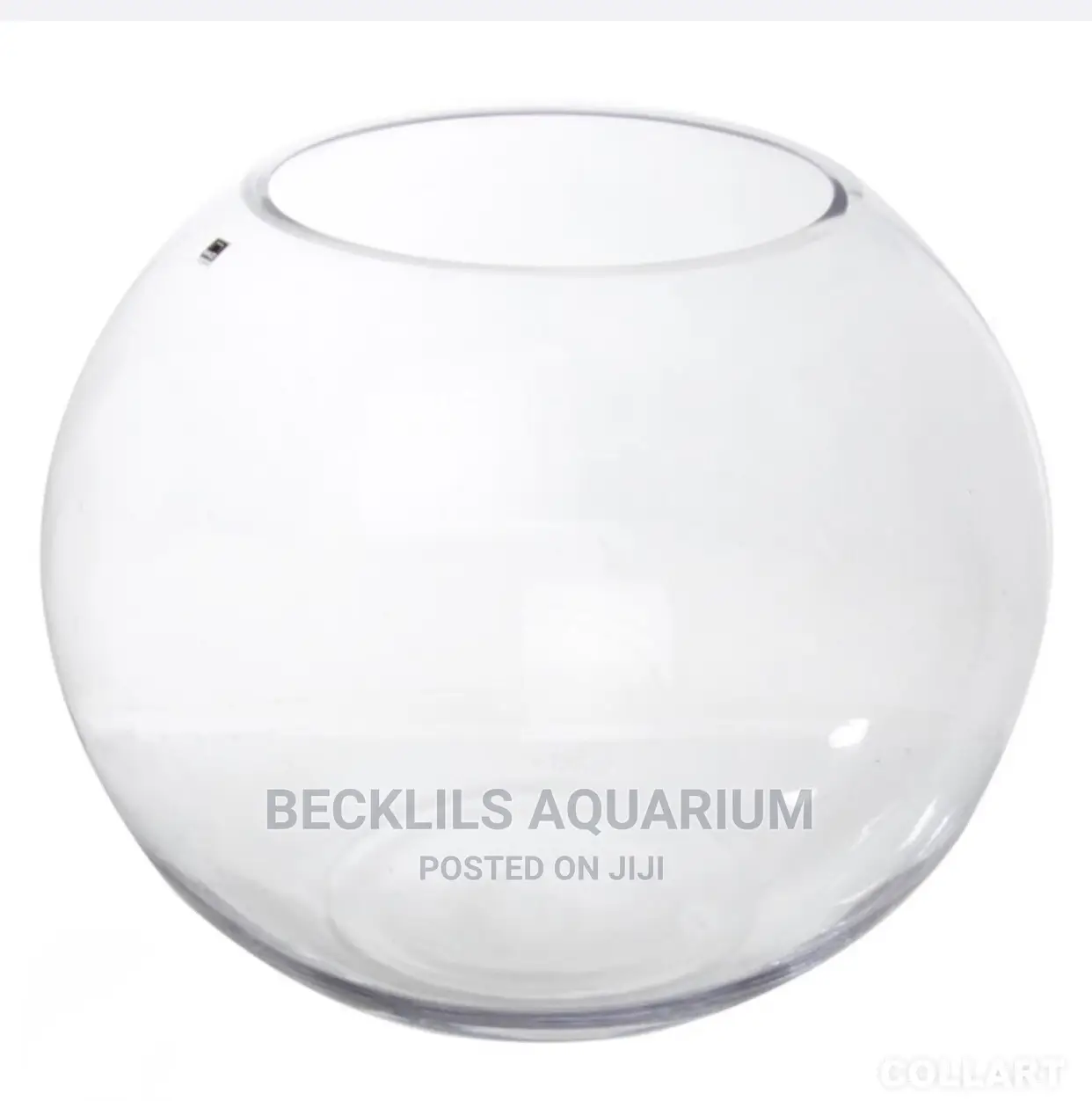 Bigger Glass Bowl