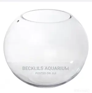 Bigger Glass Bowl