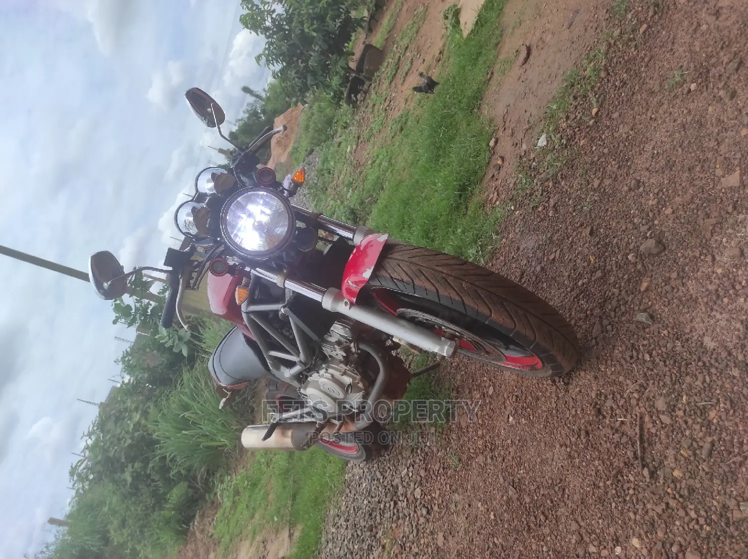 Honda VT 2010 Red