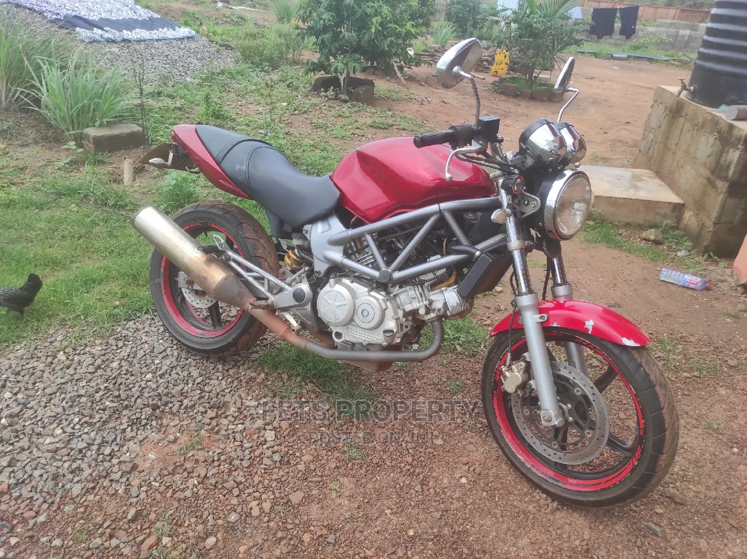 Honda VT 2010 Red