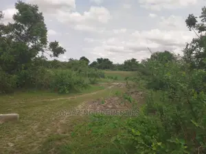 30acres of Registered Land for Sale at Dodowa,