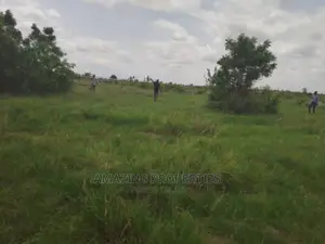 30acres of Registered Land for Sale at Dodowa,