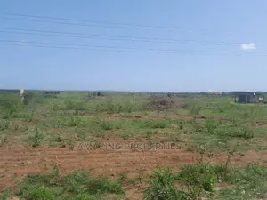 I Have 185 Acres of Land for Sale at Tsopoli Main Roadside;