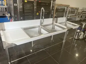 Double Bowl Sink