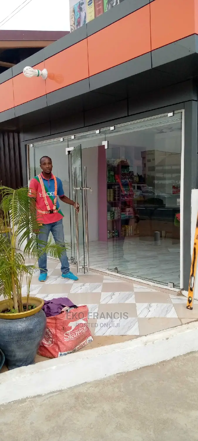 Frameless Glass Doors