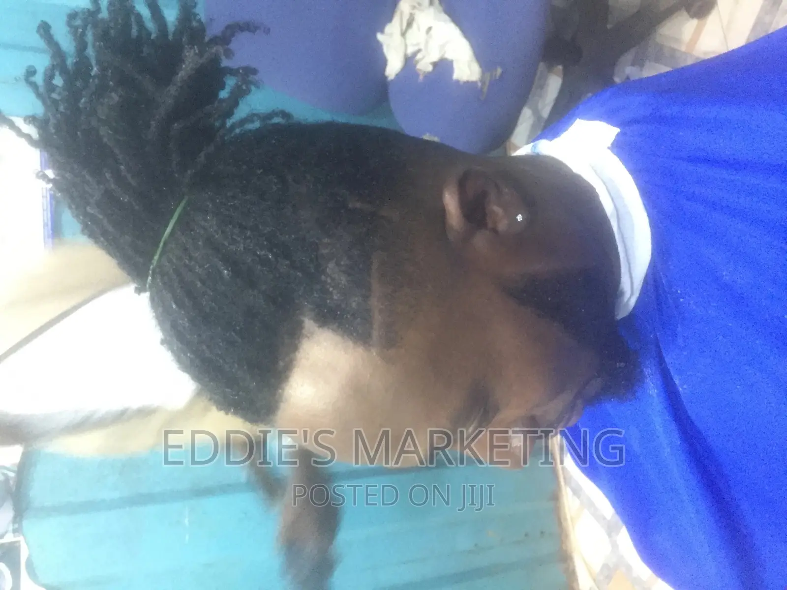 Barbering Service