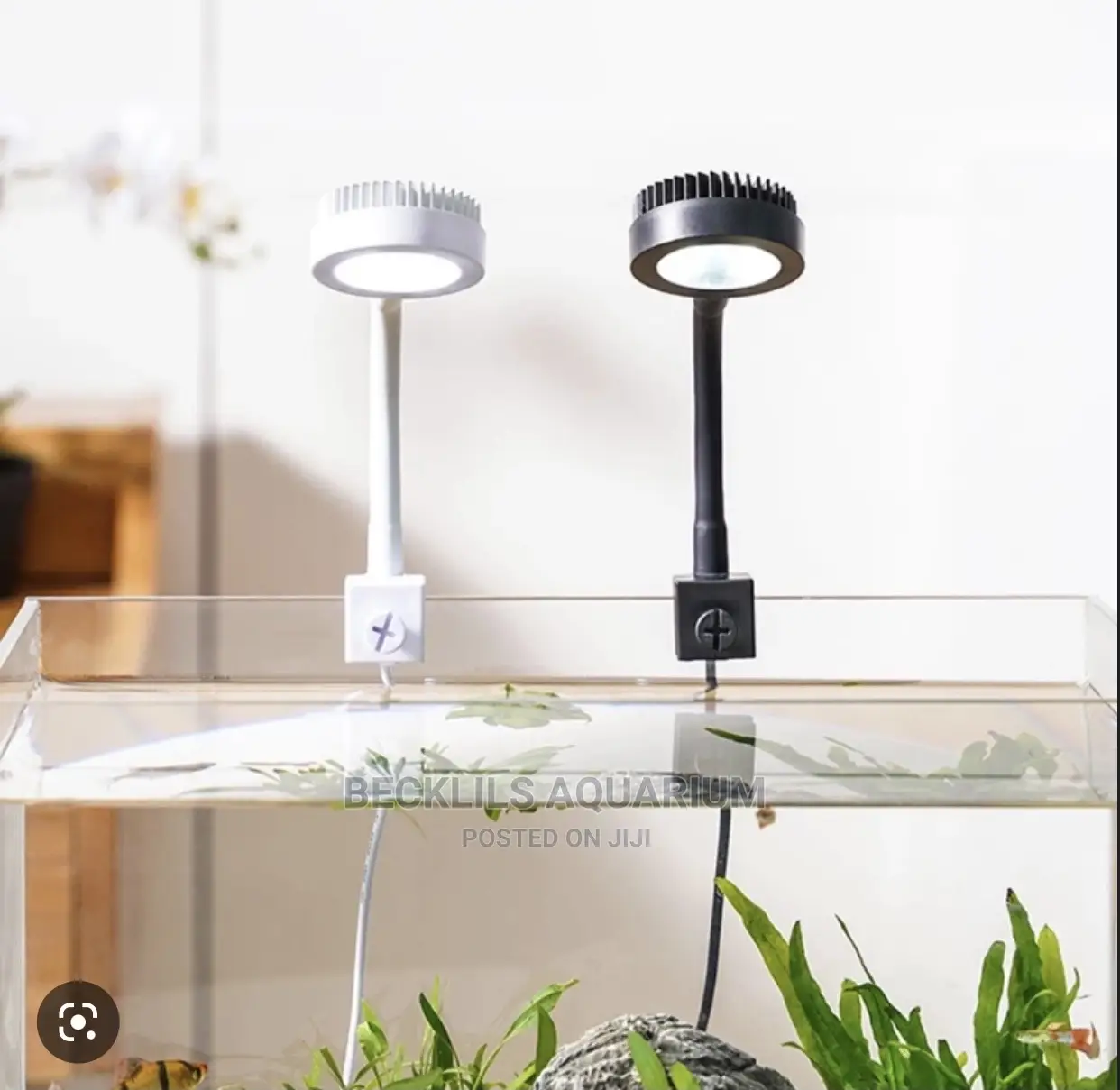 Aquarium Light and More