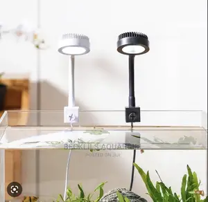 Aquarium Light and More