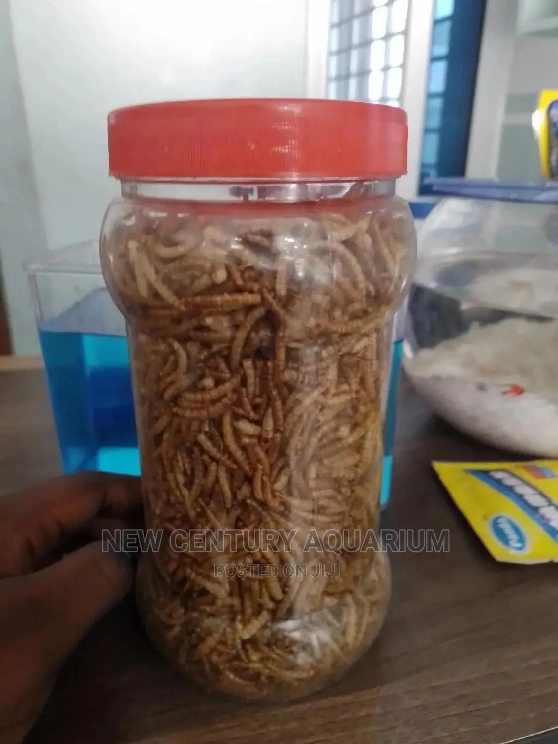 Aquarium Fish Dried Worms