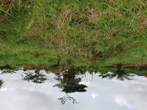 Two Plots of Land at Santasi Darko