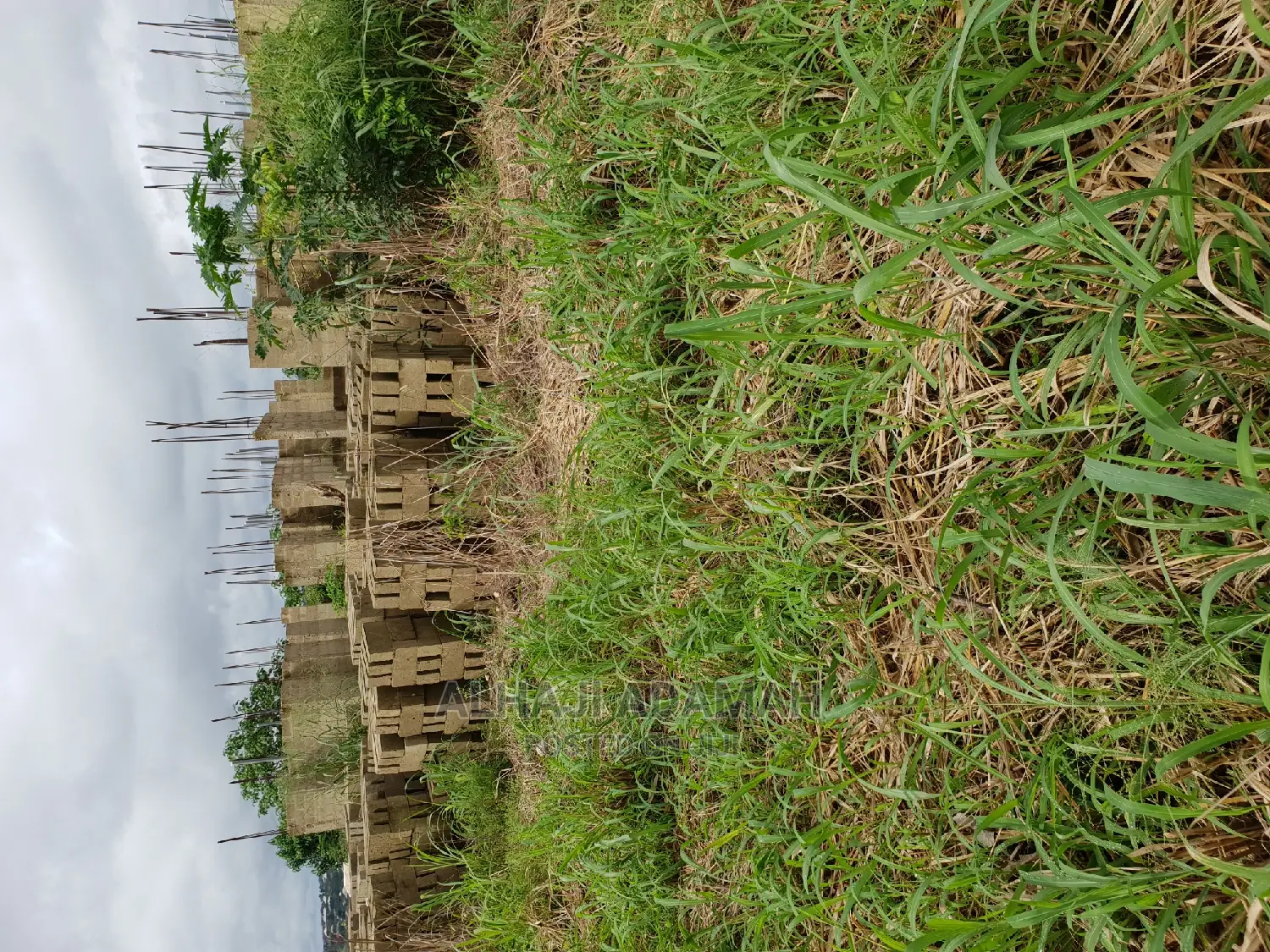 Two Plots of Land at Santasi Darko