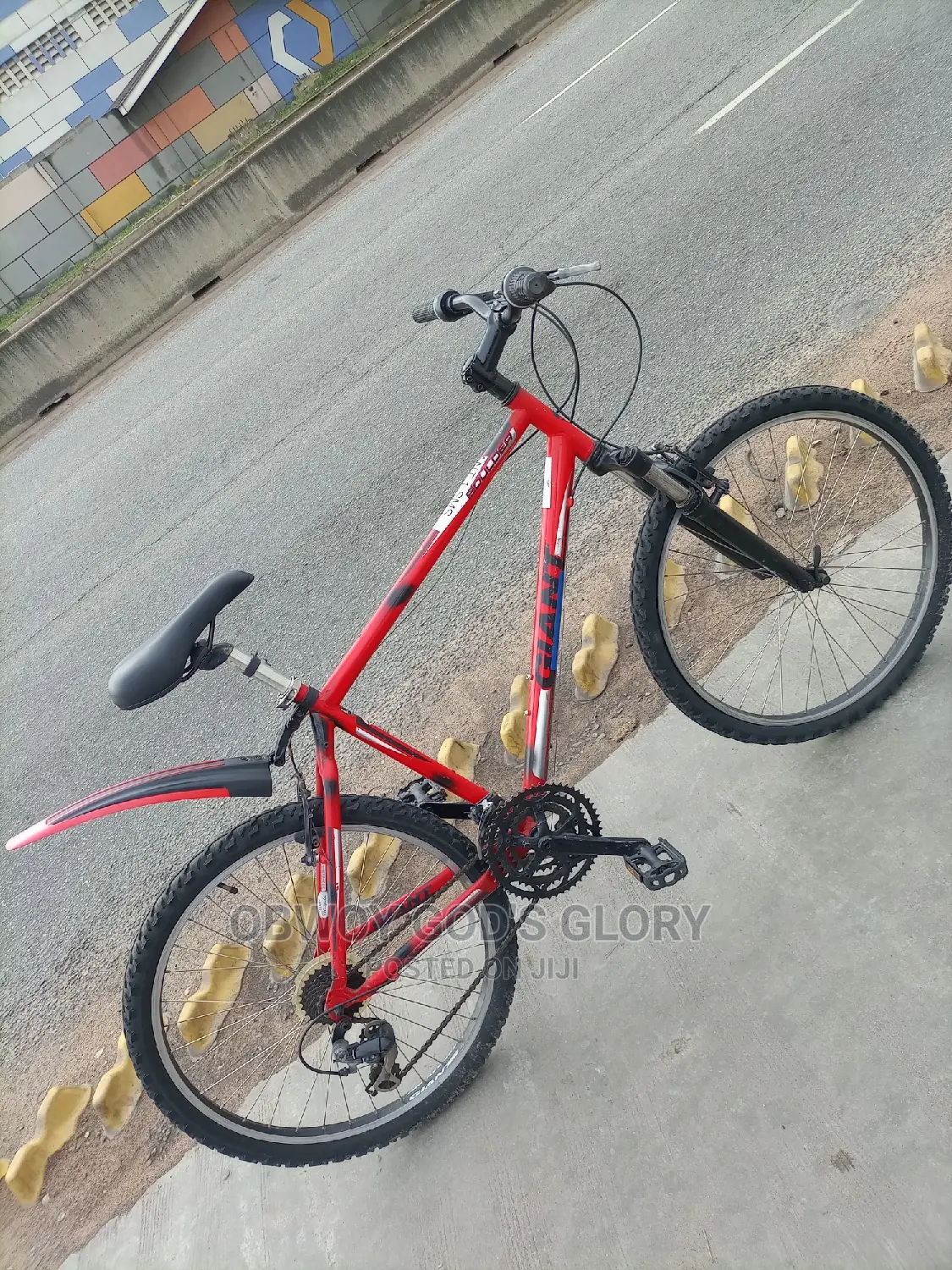 Red Gaint Bike