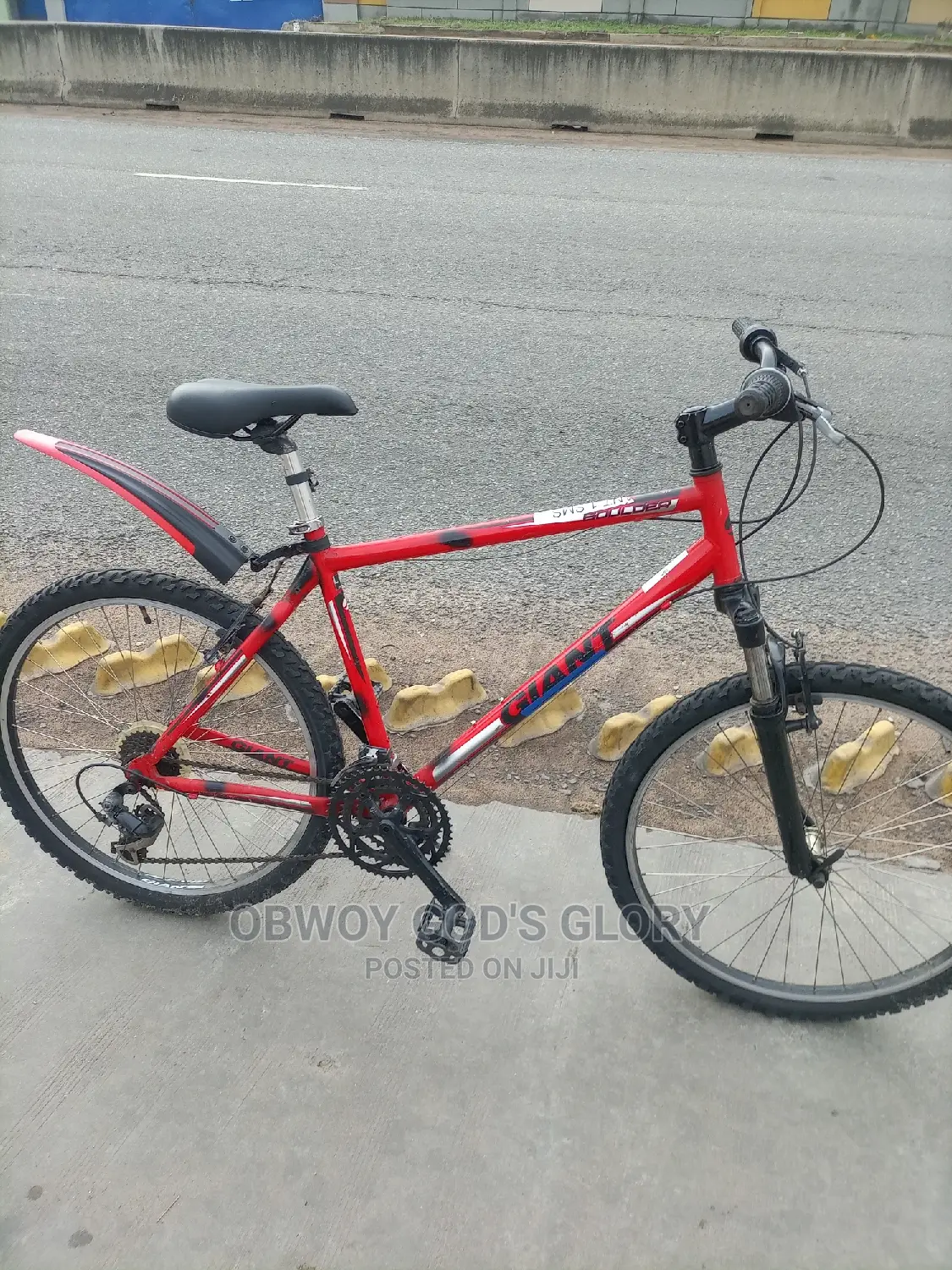 Red Gaint Bike