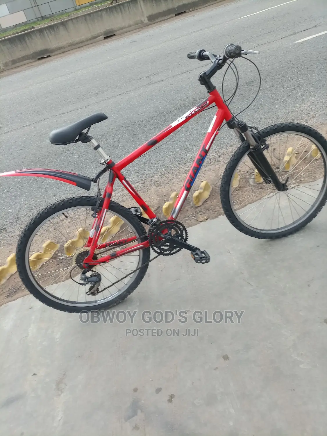 Red Gaint Bike
