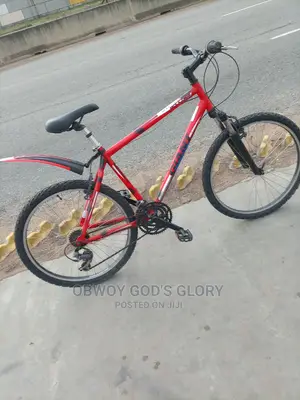 Red Gaint Bike
