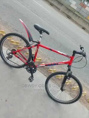 Red Gaint Bike