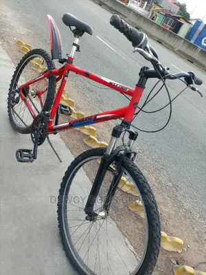 Red Gaint Bike