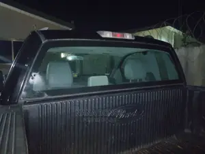 Ford F -150 Back Glass