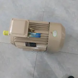 Electric Motor