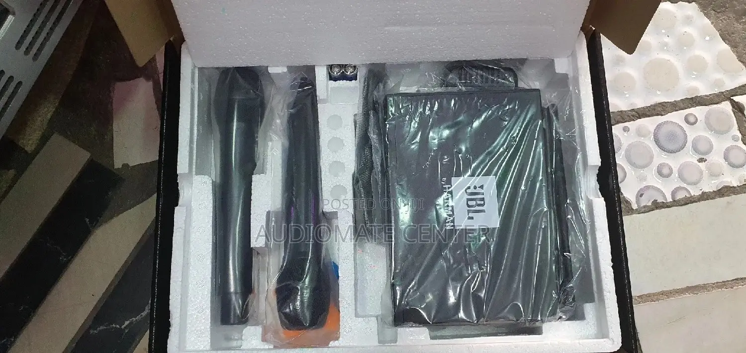 2 in 1 Microphone