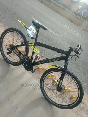 Giant Bouncing Bicycle