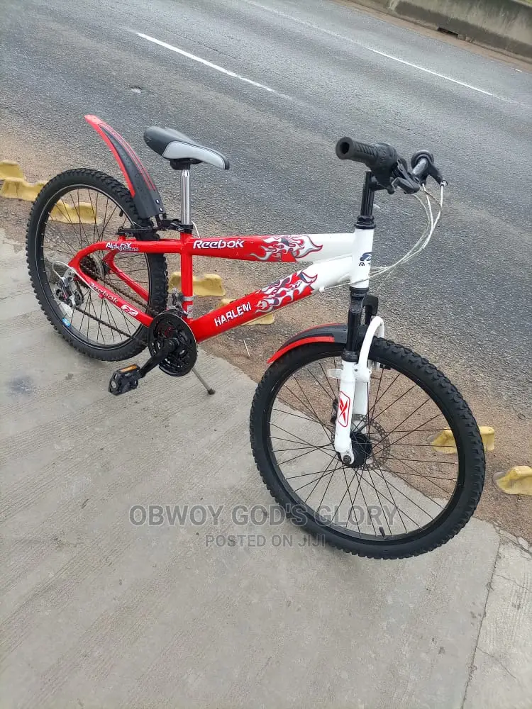 Neat and Nice Bike