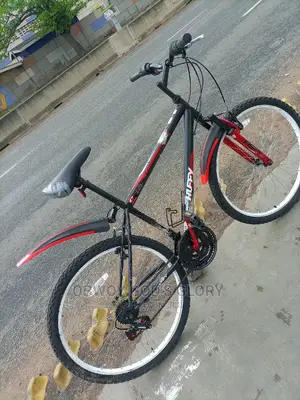 Lovely Sports Bike