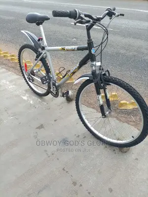 Likable Sports Bike