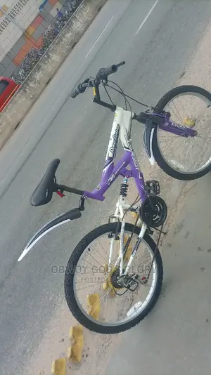 Lovely Bounce Spring Bike