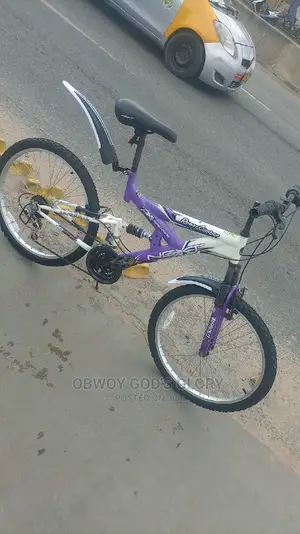Lovely Bounce Spring Bike