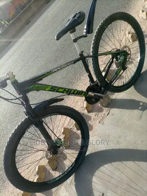 Giant Sports Trip Bike