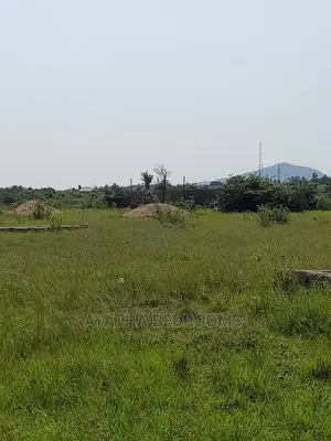 1 Full Plot of Land for Sale at Akuse