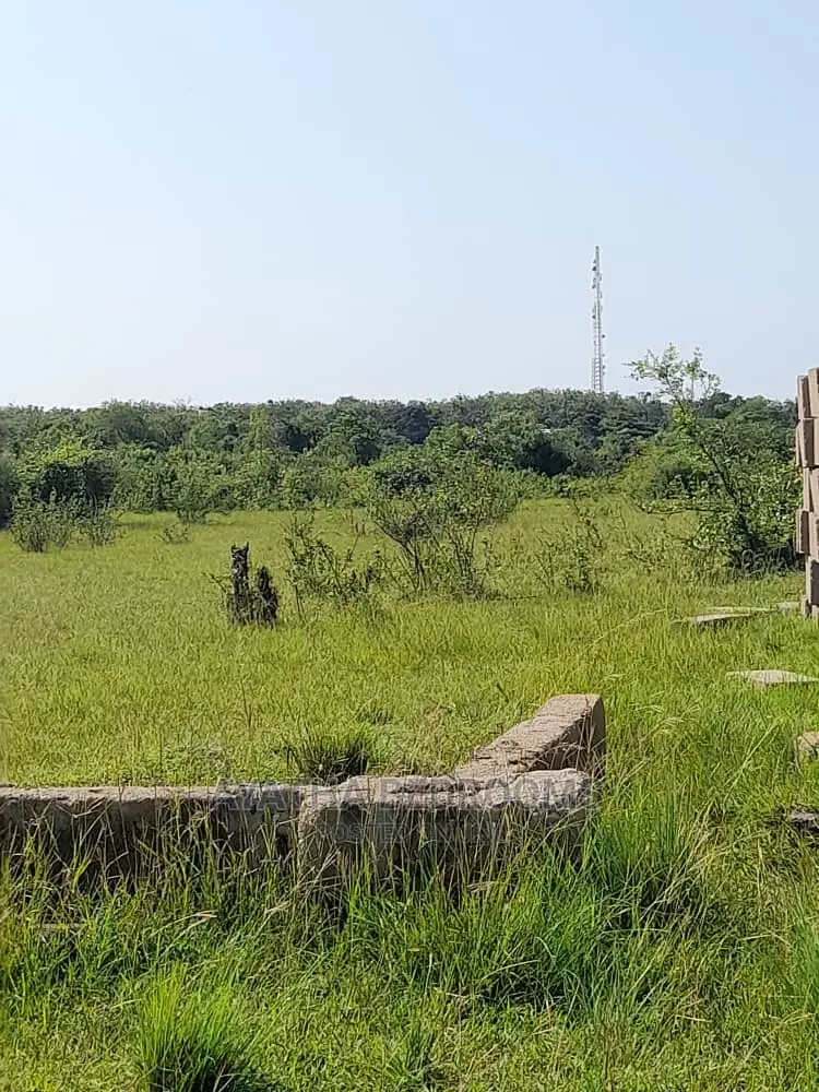 1 Full Plot of Land for Sale at Akuse
