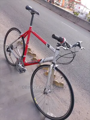 Red Sports Type Bike