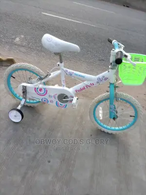 Kid Ladies Birthday Bike