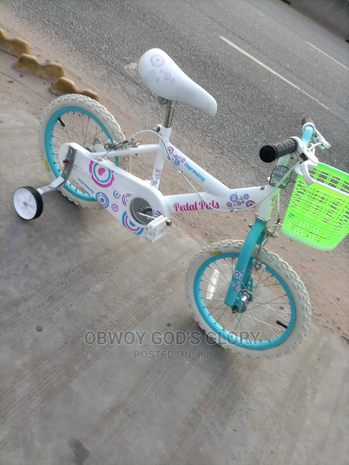 Kid Ladies Birthday Bike