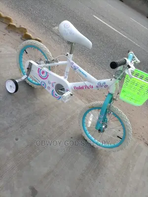 Kid Ladies Birthday Bike