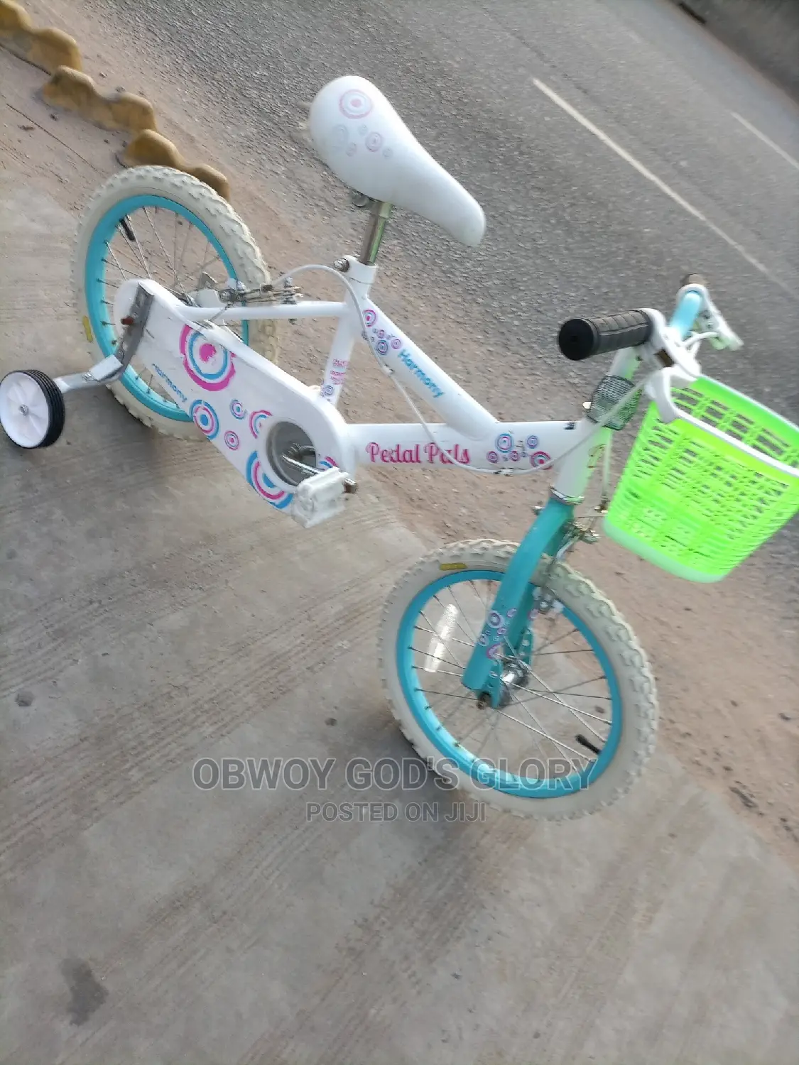 Kid Ladies Birthday Bike