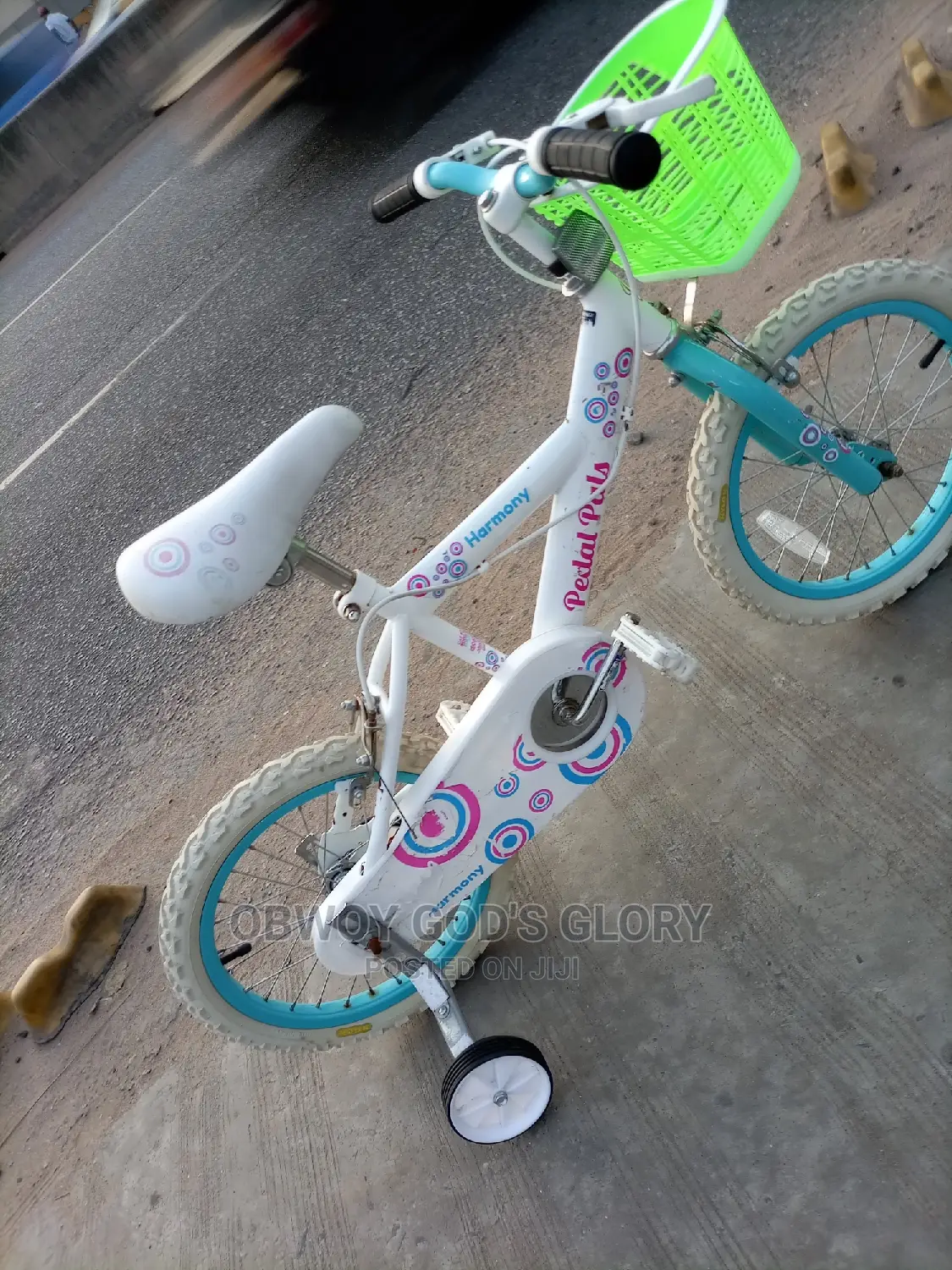 Kid Ladies Birthday Bike