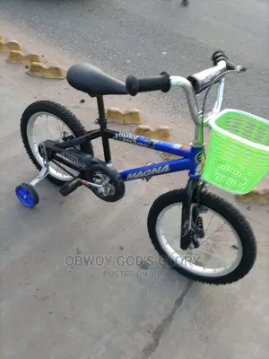 Birthday Kids Bike