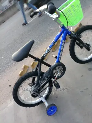Birthday Kids Bike