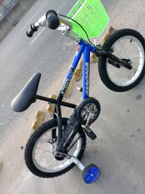 Birthday Kids Bike