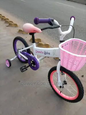Gifted Birthday Kids Bike