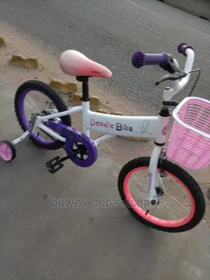 Gifted Birthday Kids Bike